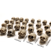 20pcs Mini Skulls, Small Skeleton Head Flowerpot Decor Realistic Skull Crafts Halloween Garden Decoration Bonsai Courtyard Ornaments