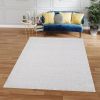 Milano Collection Pale Celadon Woven Area Rug