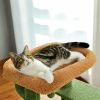 Unique Cactus Cat Tree Cat Tower with Sisal Covered Scratching Post, Cozy Condo, Plush Perches, Hanging Toy and Climbing Ladder