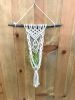 Macrame Air Plant Hanger kit - The Anna