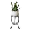 2 Tier Plant Stand, Metal Potted Holder Rack, Indoor Outdoor Multiple Flower Pot Shelf