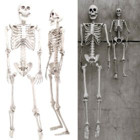 Halloween Skeleton (size: 90cm /3ft)