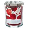 Perfect Present Indoor/Outdoor Home Decor 3-Wick 16 oz Jar Candle