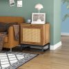 Natural Rattan door nightstand, storage End Table, Accent Bedside Table for Bedroom, Living Room