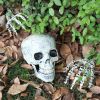 Halloween Decor Realistic Skull Hand Bone Skull Props Skull Ornaments